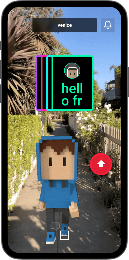 MSG camera shy social